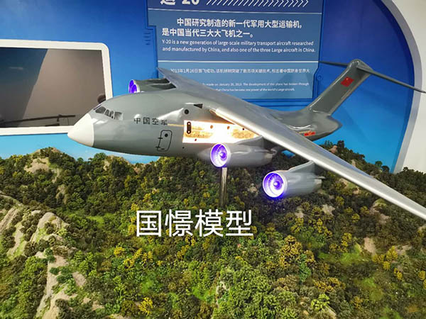 桂阳县飞机模型