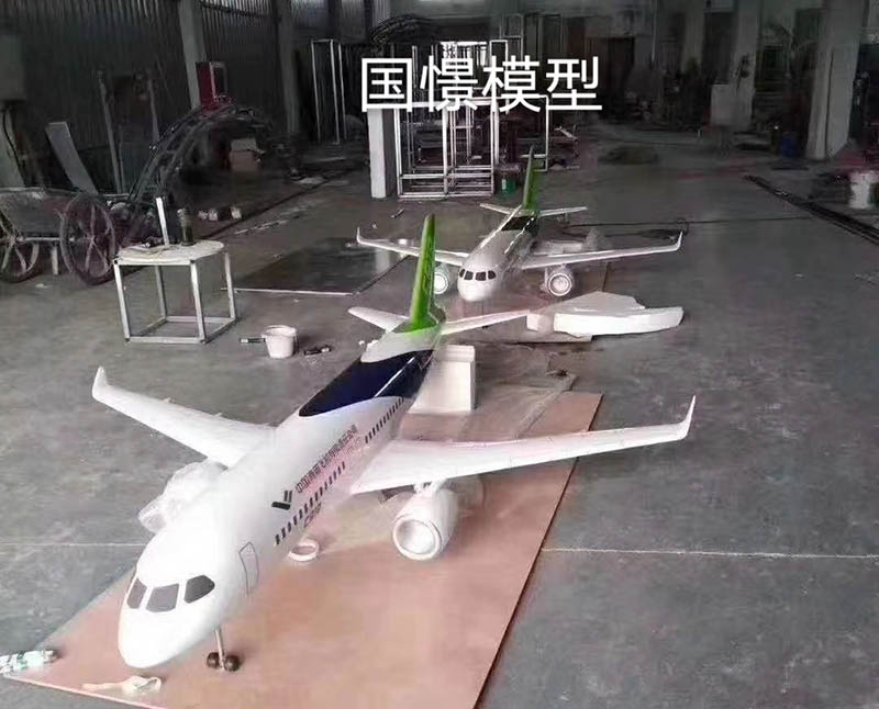 桂阳县飞机模型