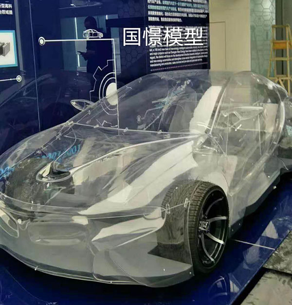 桂阳县透明车模型